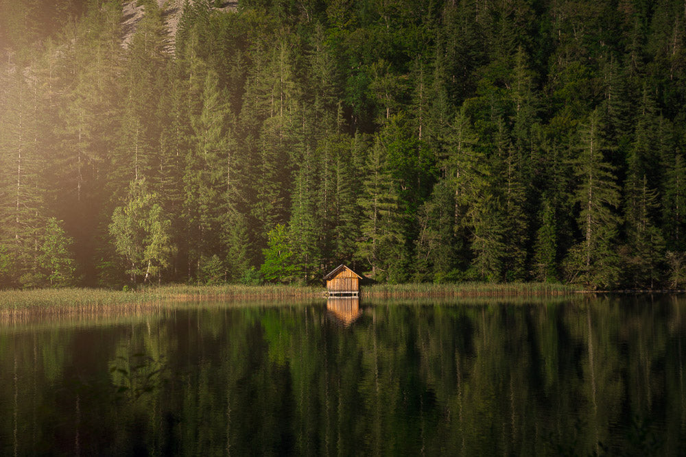 Serene lakeside cabin surrounded by a dense green forest, reflecting on the still water. The golden sunlight adds a warm, tranquil atmosphere to this picturesque nature landscape.